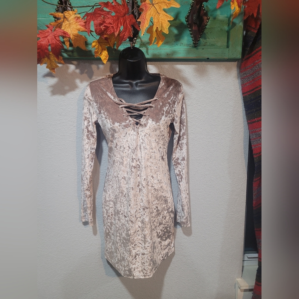 Stunning Velvet dress